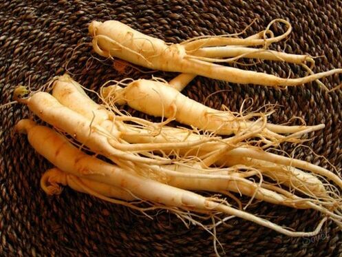 raíz de ginseng para aumentar la potencia después de los 60