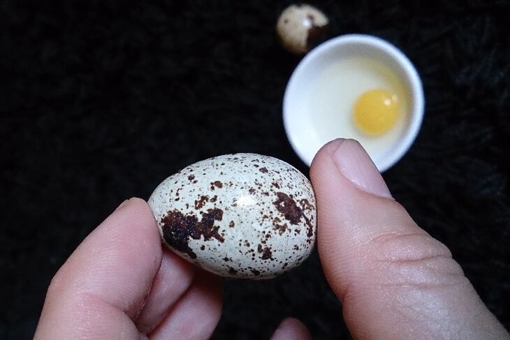 huevos de codorniz para aumentar la potencia